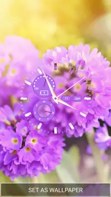 Flower Clock Live Wallpaper android App screenshot 5